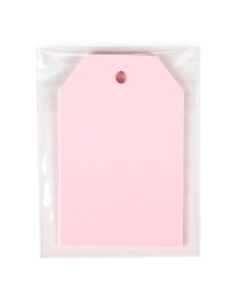 Eco Clear Flap Seal Bags | 2 15/16" x 3 3/4" | 100 Pack | TB356 - DISCONTINUED